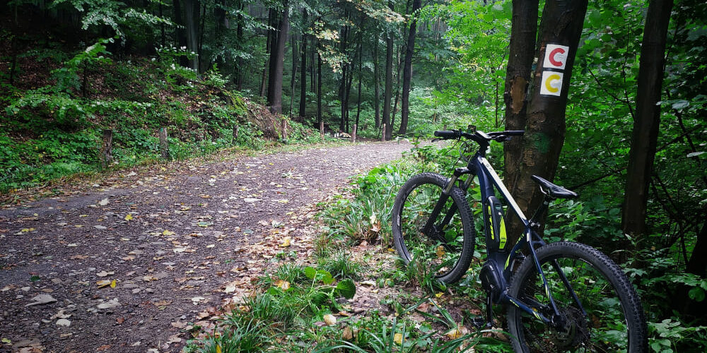 Slovenský cykloklub: Bicykle životnému prostrediu neškodia